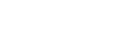 footer bolivariano